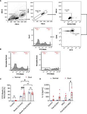 Recombinant Human Proteoglycan 4 Regulates Phagocytic Activation of Monocytes and Reduces IL-1β Secretion by Urate Crystal Stimulated Gout PBMCs